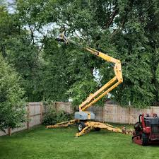 Best Tree Health Inspection  in Woodville, TX