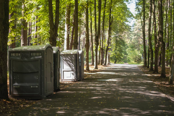 Best Leaf Removal  in Woodville, TX